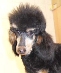 Winni6Mo 004